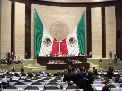 camara de diputados